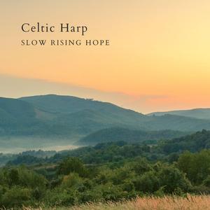 变态强奸美女视频网站
