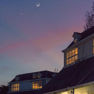 变态强奸美女视频网站
